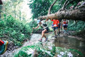 BIB: 
                            <button type="button" onclick="openModal(25445690)" class="btn btn-primary btn-sm float-right btn-popup" data-toggle="modal" data-target=".modal-high-quality">
                        <i class="fas fa-shopping-cart"></i> Add to Cart
                    </button>
                                            <button type="button" onclick="isThisMe(25445690, true)" class="btn btn-success btn-sm float-right btn-popup btn-isme hidden" data-toggle="tooltip" data-placement="bottom" title="นี่คือรูปของคุณใช่ไหม คลิกที่นี่เพื่อเอาเข้าอัลบั้ม">
                        <i class="fas fa-plus"></i> Add to album
                    </button>
                    <button type="button" onclick="isThisMe(25445690, false)" class="btn btn-warning btn-sm float-right btn-popup btn-isnotme hidden">
                        <i class="fas fa-ban"></i> Remove from album
                    </button>